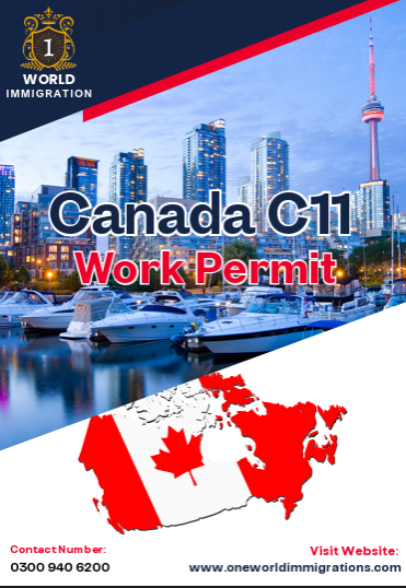 C11 Program practical guide cover